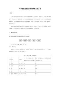 牛仔服装洗漂废水处理典型工艺介绍