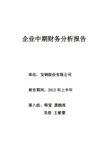 (第八组)宝钢企业年度财务报告-副本