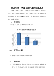 1-3月分级护理PDCA