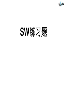 sw练习题