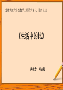 新北师大版六年级上《生活中的比》PPT课件