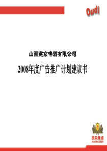 X年度广告计划