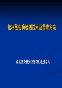 松材线虫病检测技术及普查方法