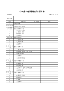 市级基本建设投资项目预算表