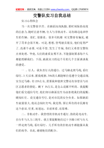 交警队实习自我总结