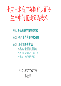 小麦玉米高产案例和大面积生产中的瓶颈障碍技术