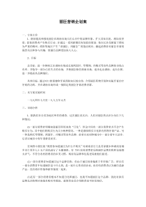 《丽臣营销企划案》