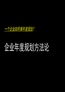 企业年度规划(参考模版)