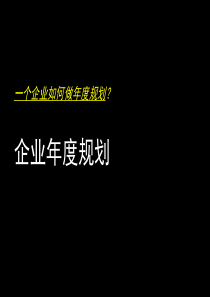 企业年度规划模版