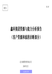 鑫科集团客户关系和流程诊断报告