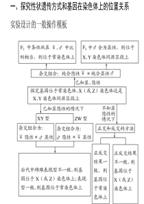 遗传实验设计与致死现象