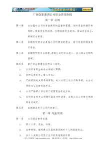 公司资金管理制度