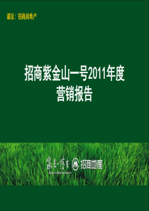 2A--XXXX年度南京招商地产紫金山一号营销报告