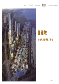 国雅城XXXX年度营销推广计划87p