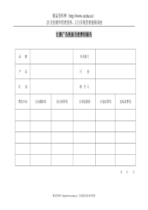 A16广告投放月度费用报告表