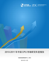 CPU2010年度报告