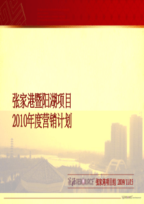 张家港暨阳湖项目年度营销计划