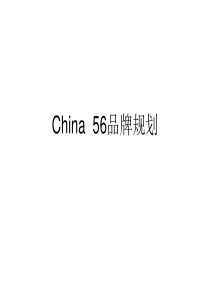 China56品牌规划