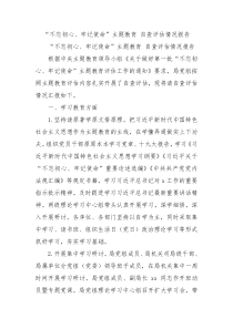 不忘初心牢记使命主题教育自查评估情况报告