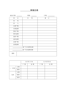 NO.11个案周报总表