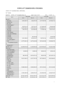 SST恒立：XXXX年半年度财务报告