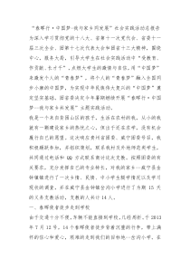 春晖行中国梦我与家乡同发展社会实践活动总报告0