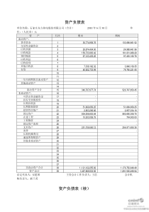 ST东热：XXXX年半年度财务报告