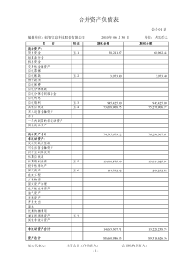 ST创智：XXXX年半年度财务报告