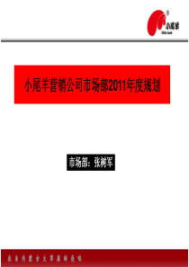 汽车销售年度市场计划(市场部经理)5