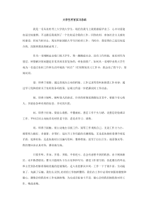 大学生村官实习总结