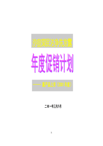 深层洁净洗发露年度促销计划新产品上市