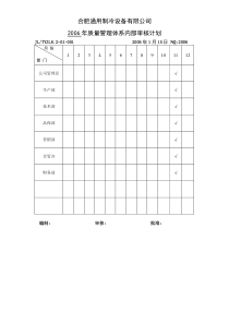 简单的年度内审计划模板