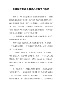 乡镇民政和社会事务办民政工作总结