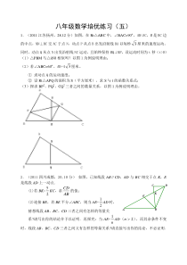 八年级数学暑期培优练习(五)