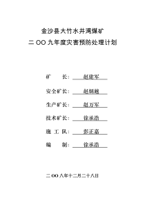 金沙县大竹水井湾煤矿X年度灾害预防处理计划