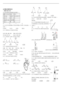 2019年浙教版九年级物质转化综合运用