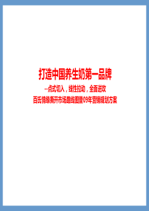 百氏情缘乳品企业区域年度营销战略规划案