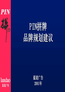 PIN拼牌品牌规划建议(1)