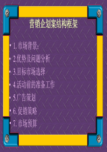 海信电脑是以淄博市场营销企划案