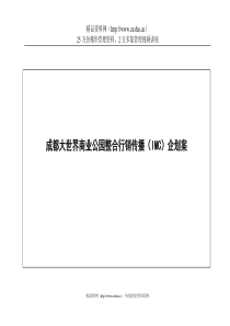 成都大世界商业公园整合行销传播（IMC）企划案