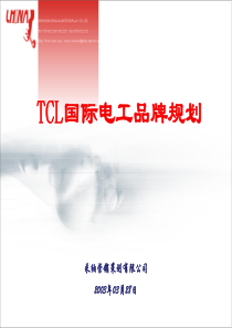 TCL国际电工品牌规划-宁