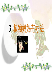 部编二年级上册语文课文3《植物妈妈有办法》课件