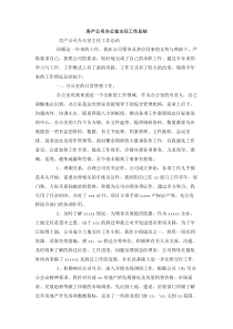 房产公司办公室主任工作总结