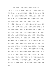 改革创新奋发有为大讨论学习心得体会0