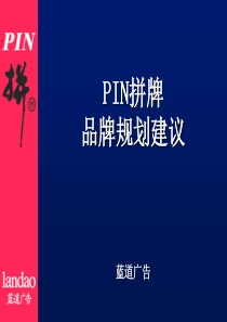 PIN拼牌品牌规划建议(PPT 36)