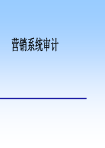 营销企划系统审计模板