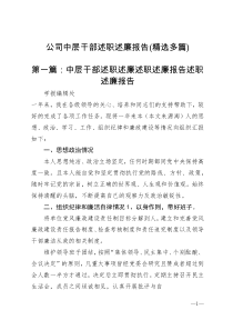 公司中层干部述职述廉报告精选多篇