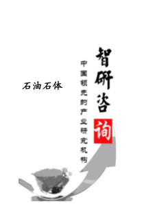 XXXX-2020年中国石油石体市场深度调查与市场竞争态势报告