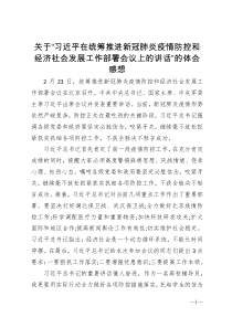 关于习近平在统筹推进新冠肺炎疫情防控和经济社会发展工作部署会议上的讲话的体会感想