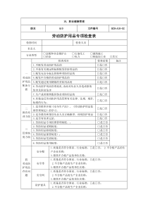 劳动防护用品专项检查表